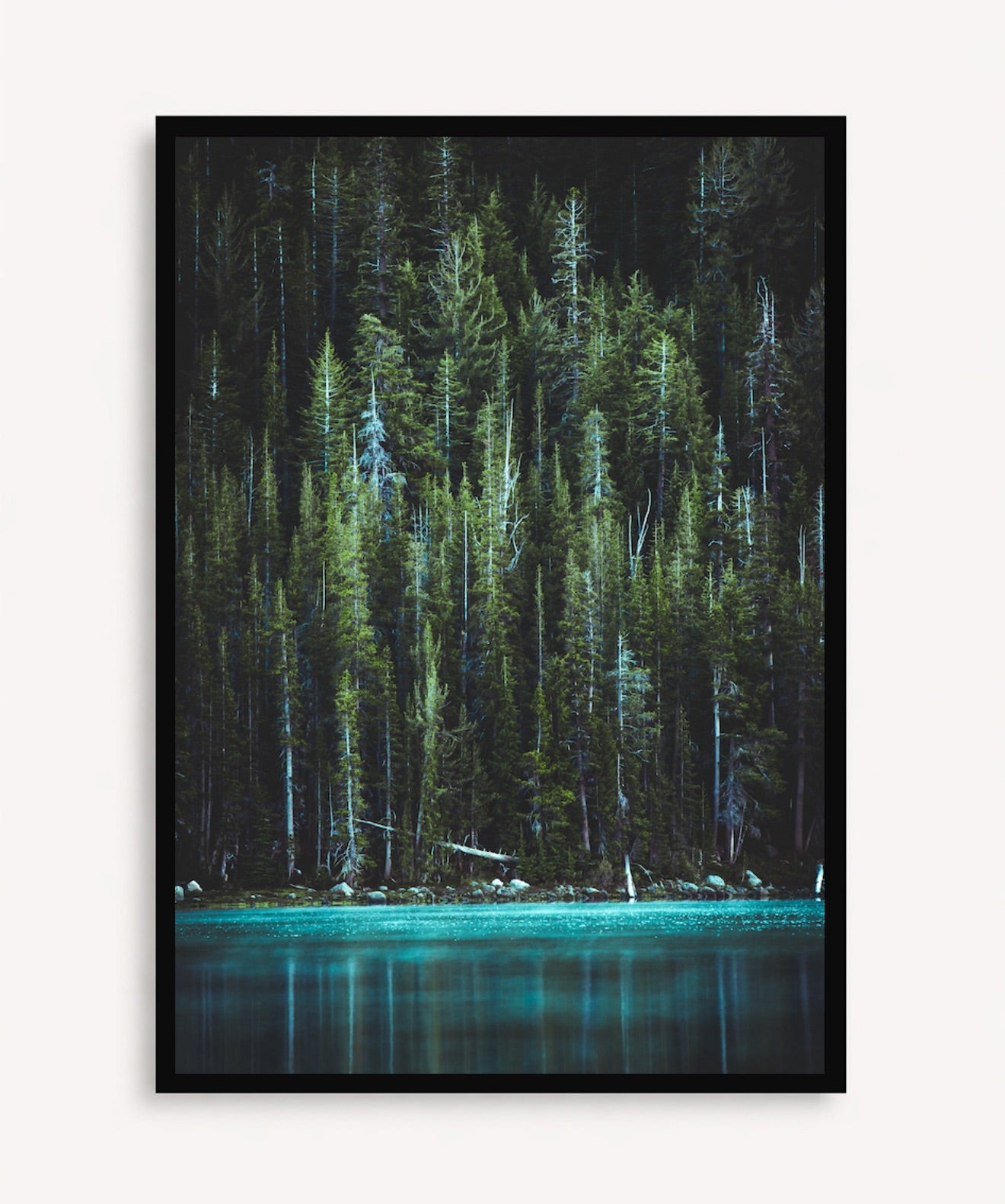 Bosque Encantado