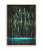 Bosque Encantado