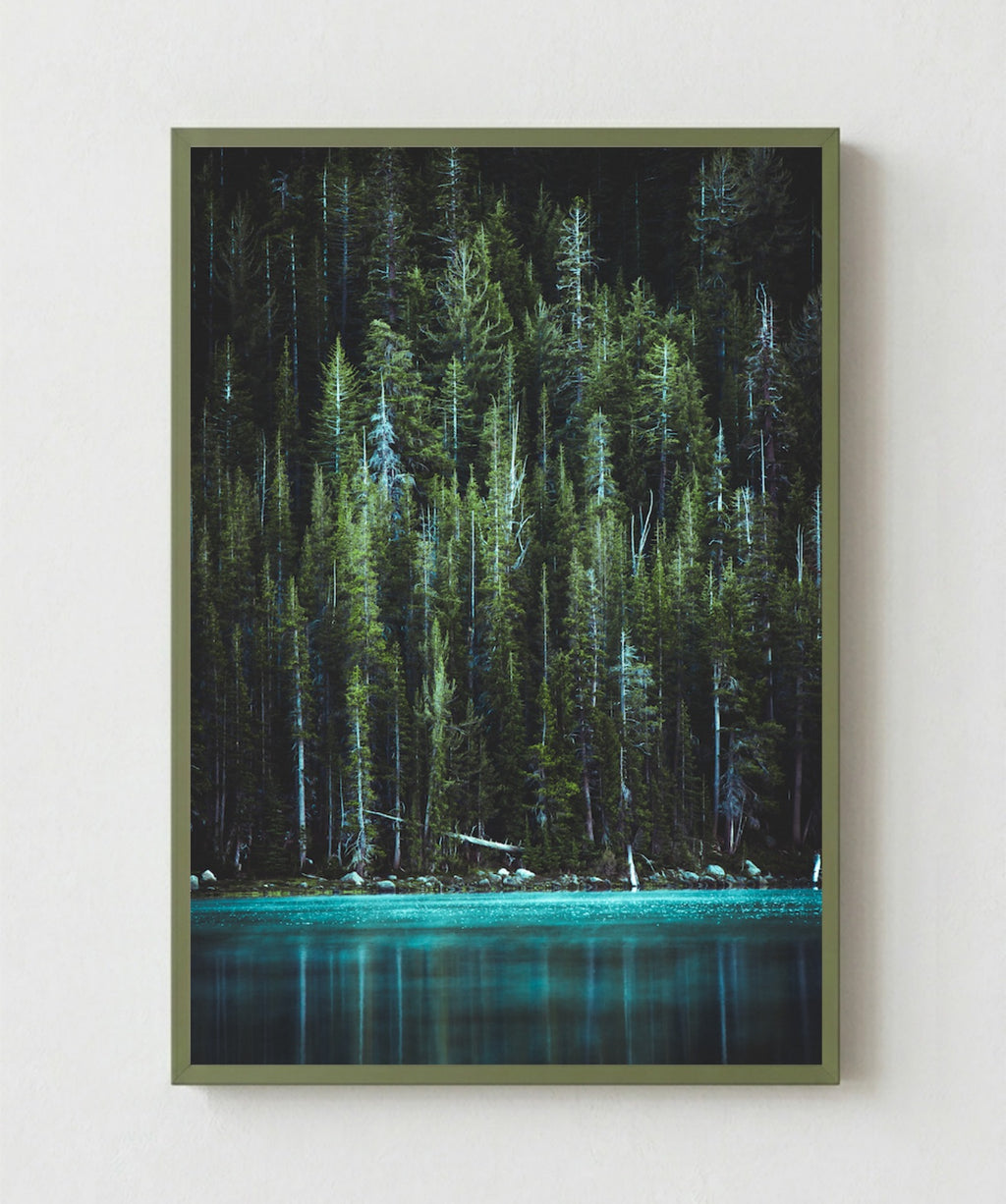 Bosque Encantado