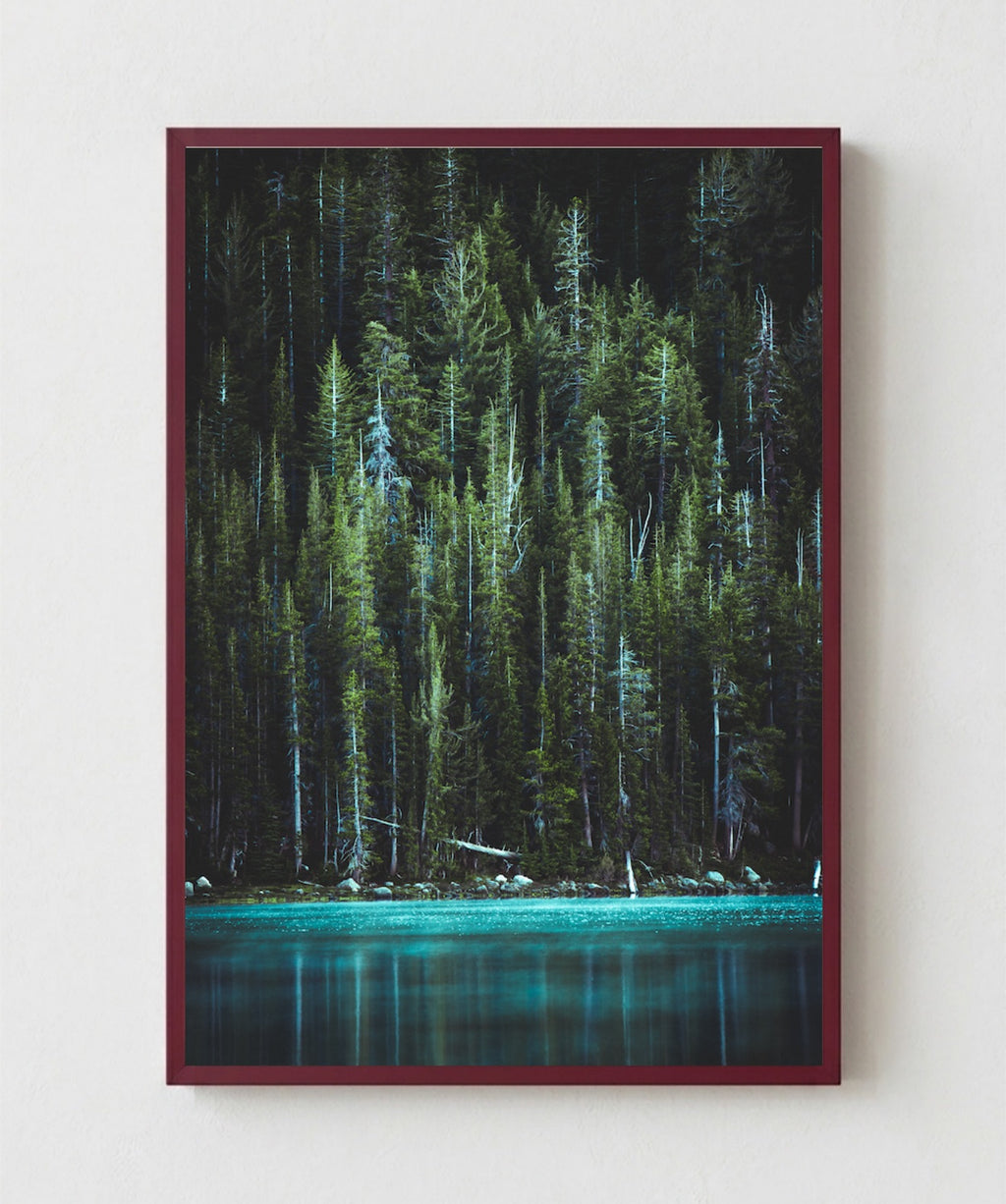 Bosque Encantado