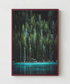 Bosque Encantado
