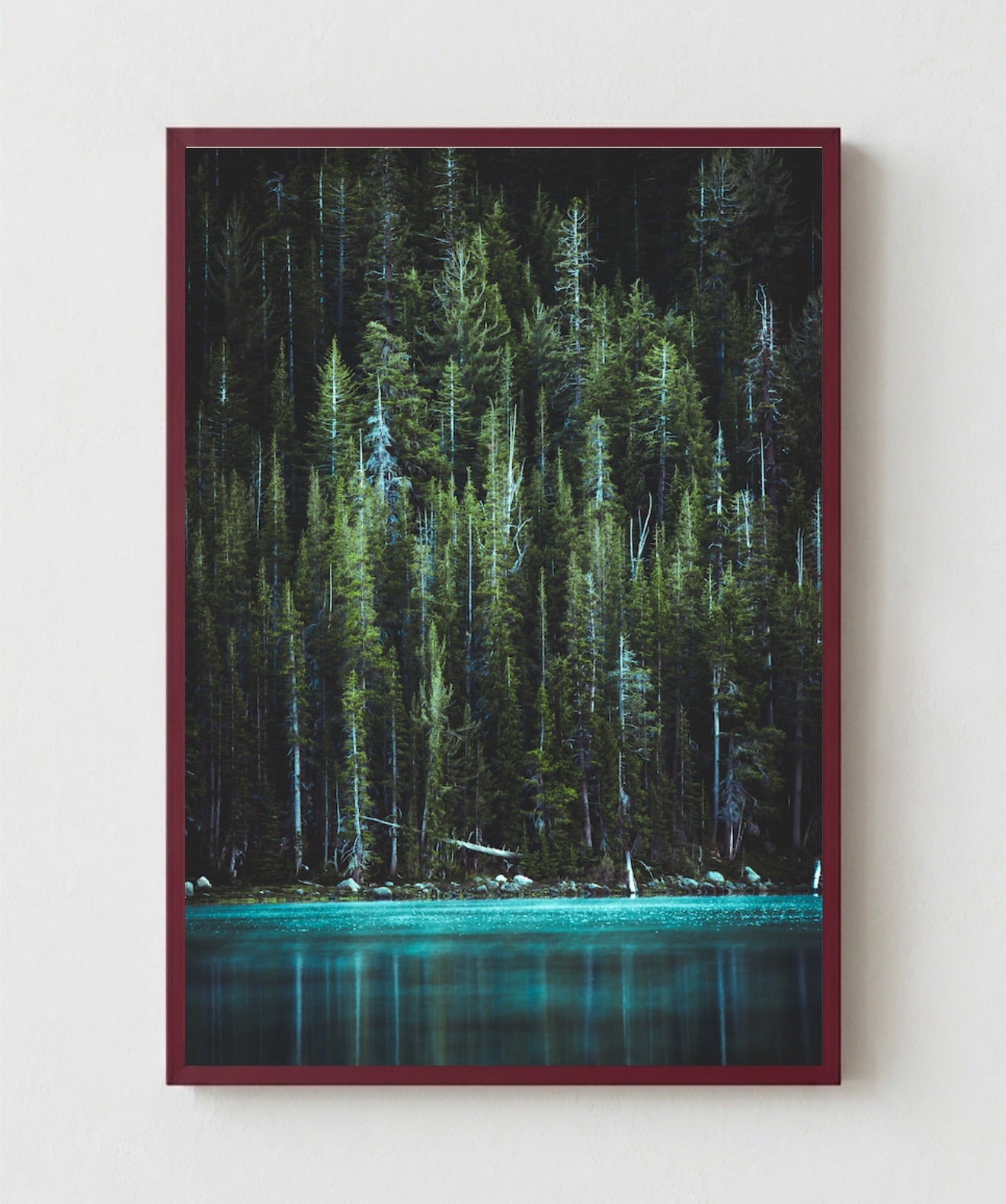 Bosque Encantado