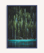 Bosque Encantado