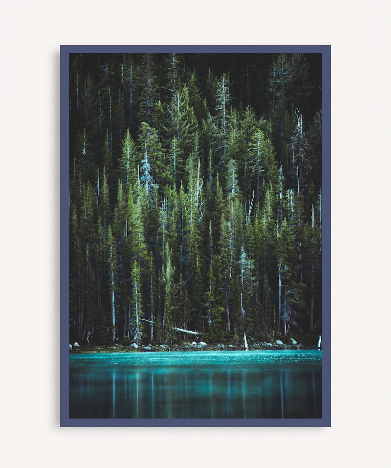 Bosque Encantado