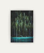 Bosque Encantado