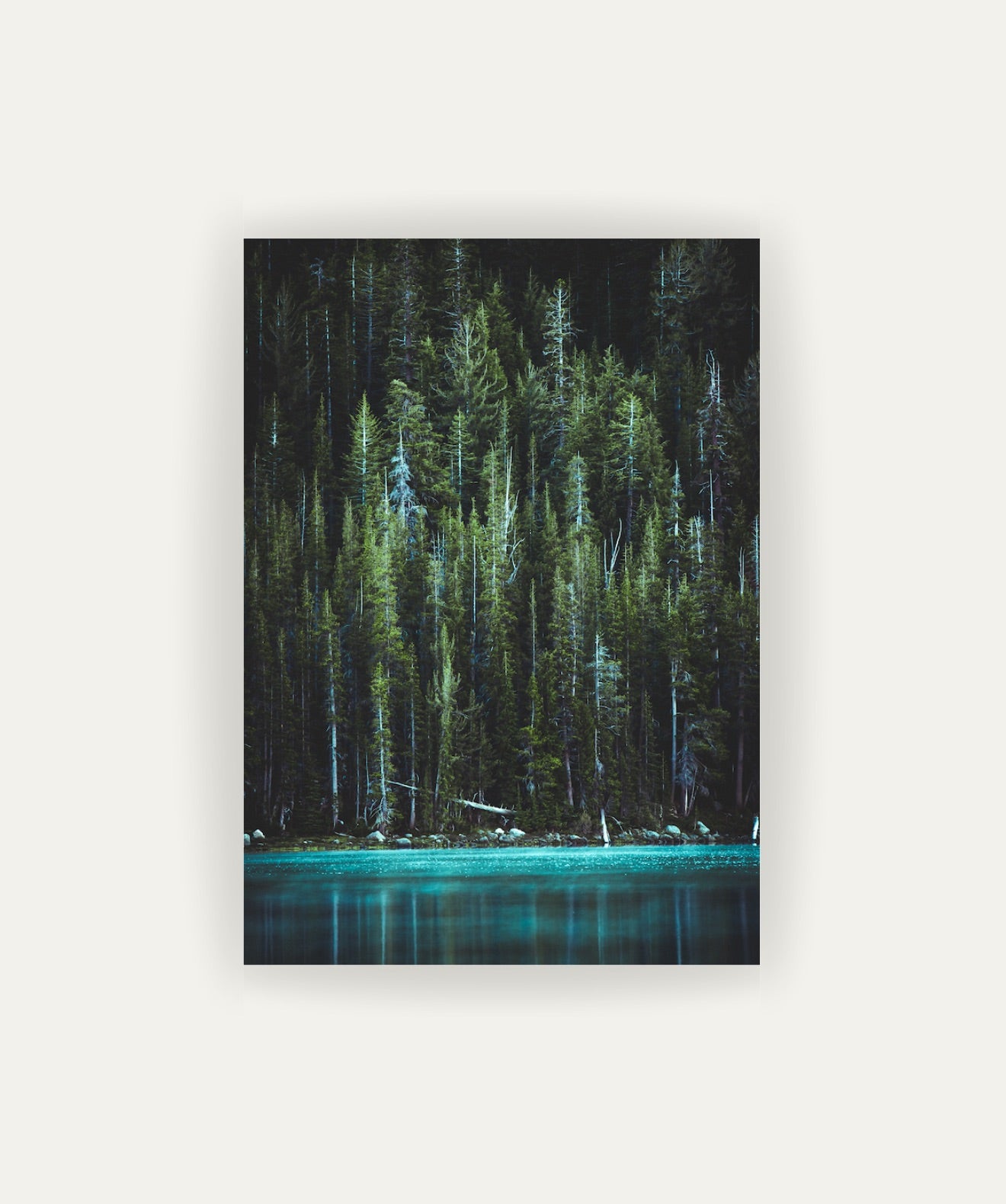 Bosque Encantado