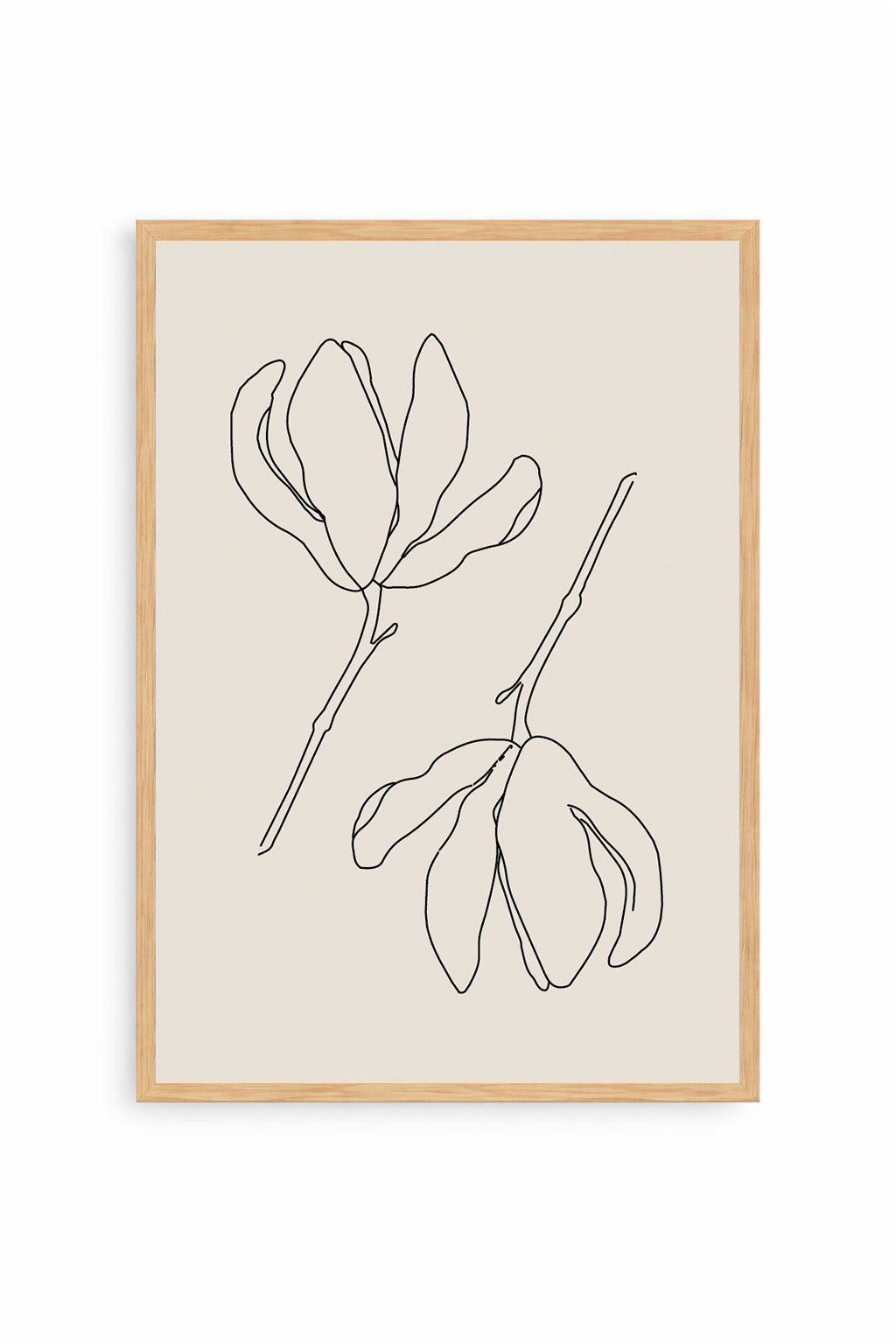Cuadro Botánica Minimal