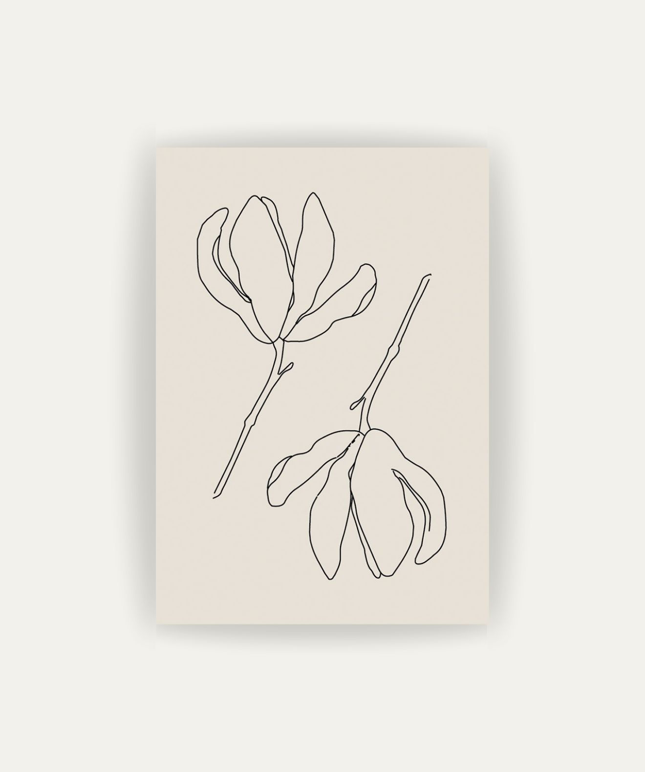 Cuadro Botánica Minimal