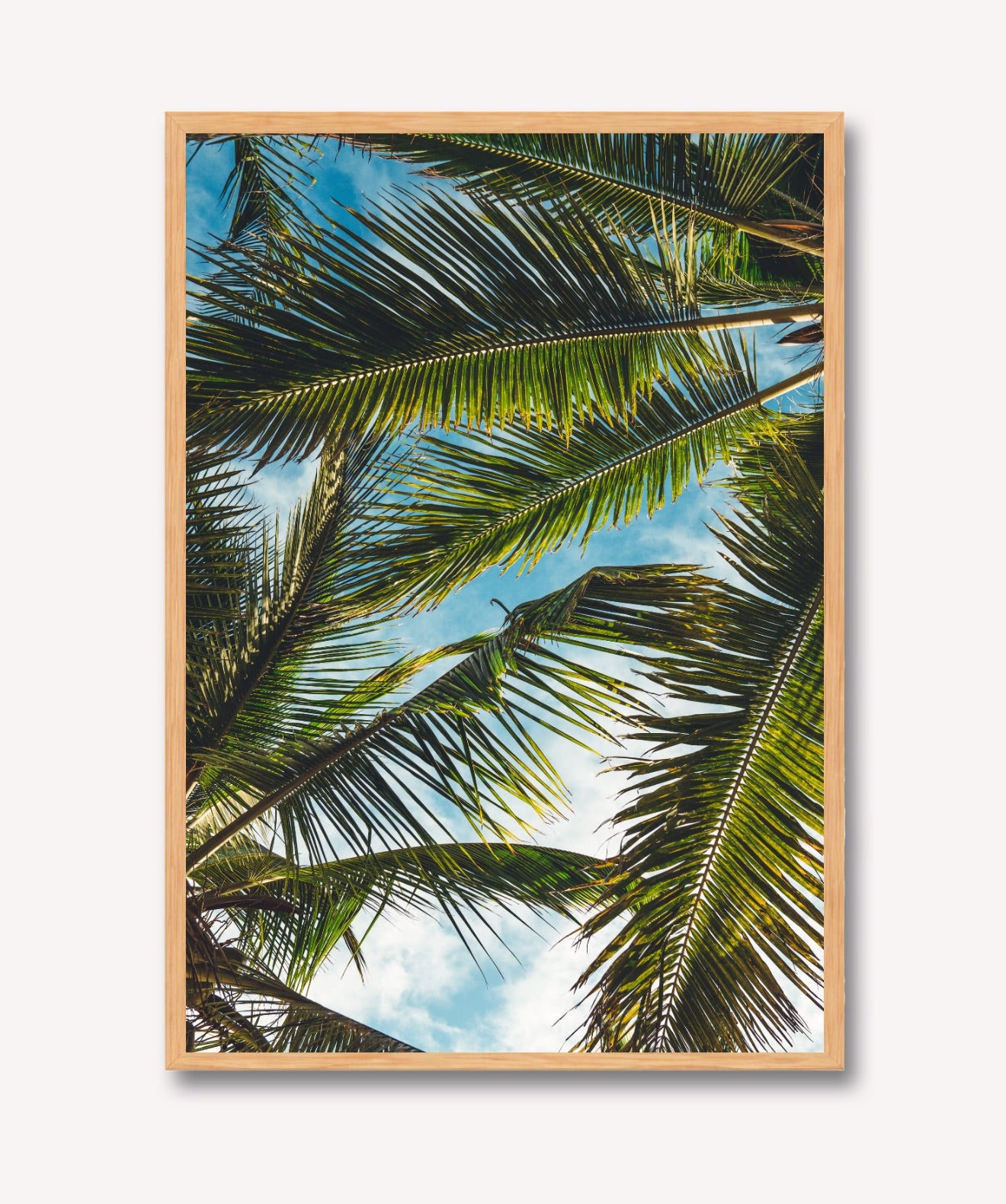 Brisa Tropical