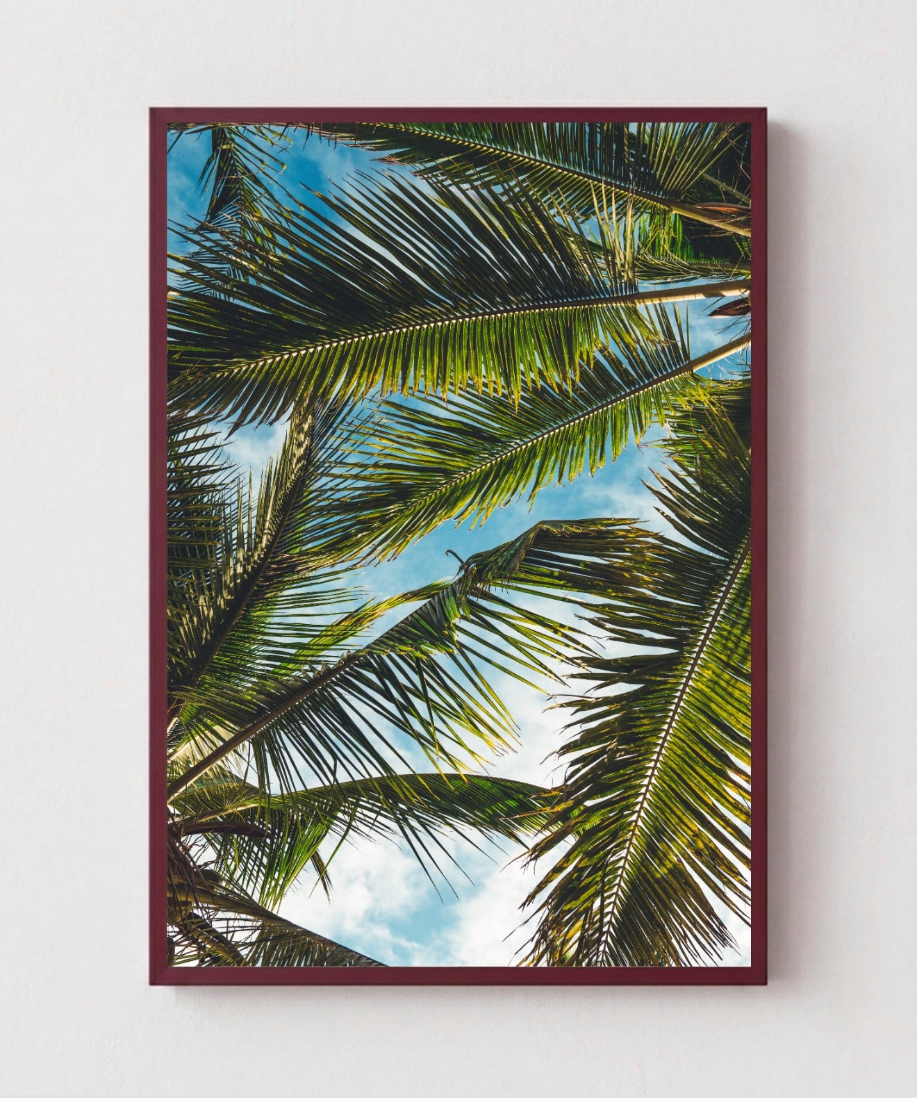Brisa Tropical