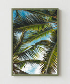 Brisa Tropical