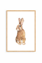 Bunny