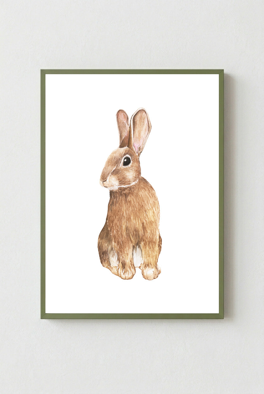 Bunny
