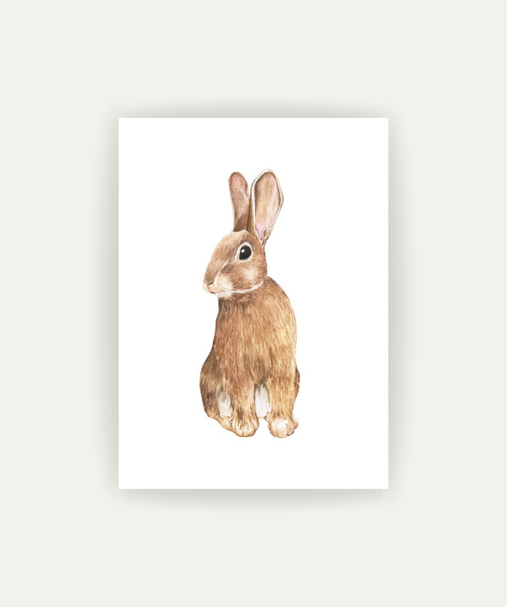 Bunny