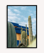 Cactus