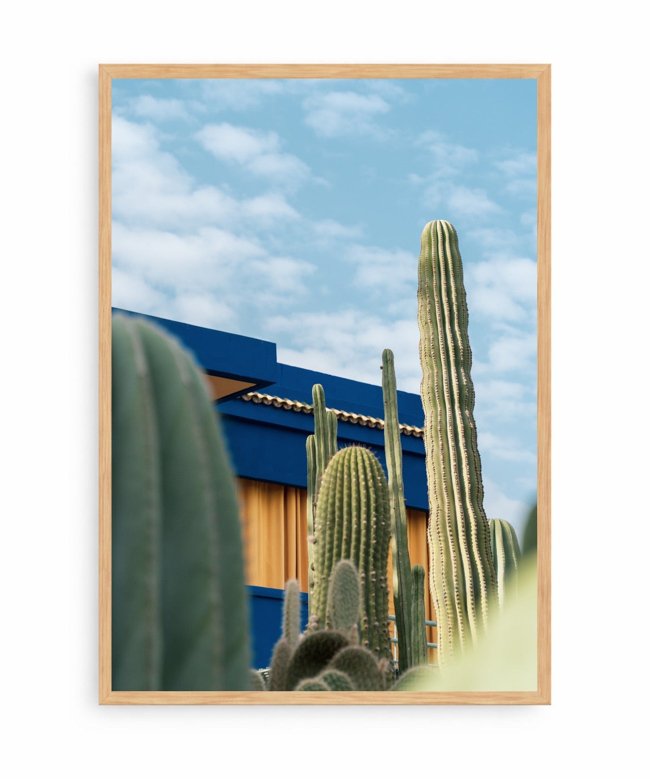 Cactus