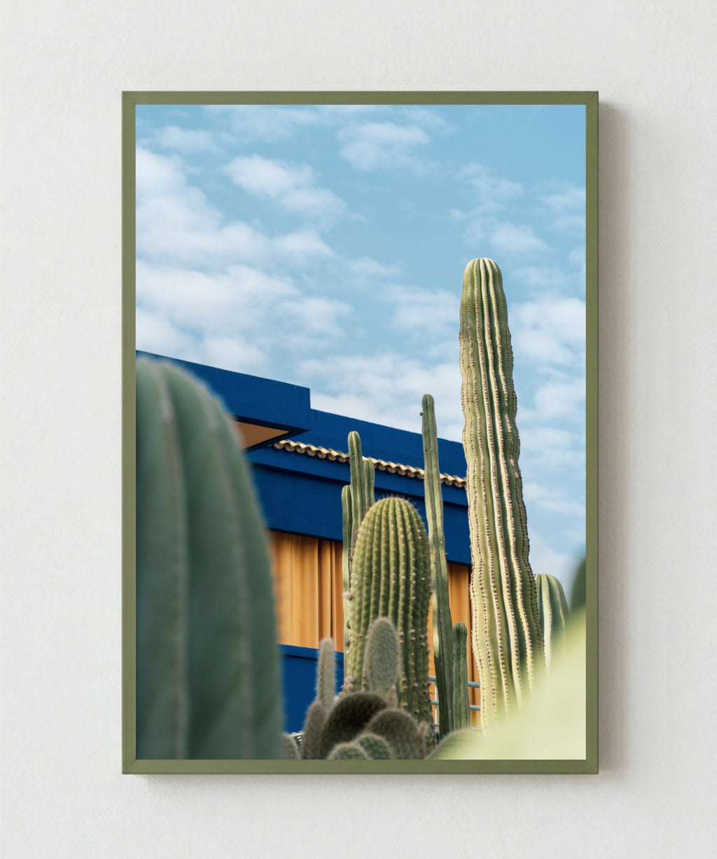 Cactus