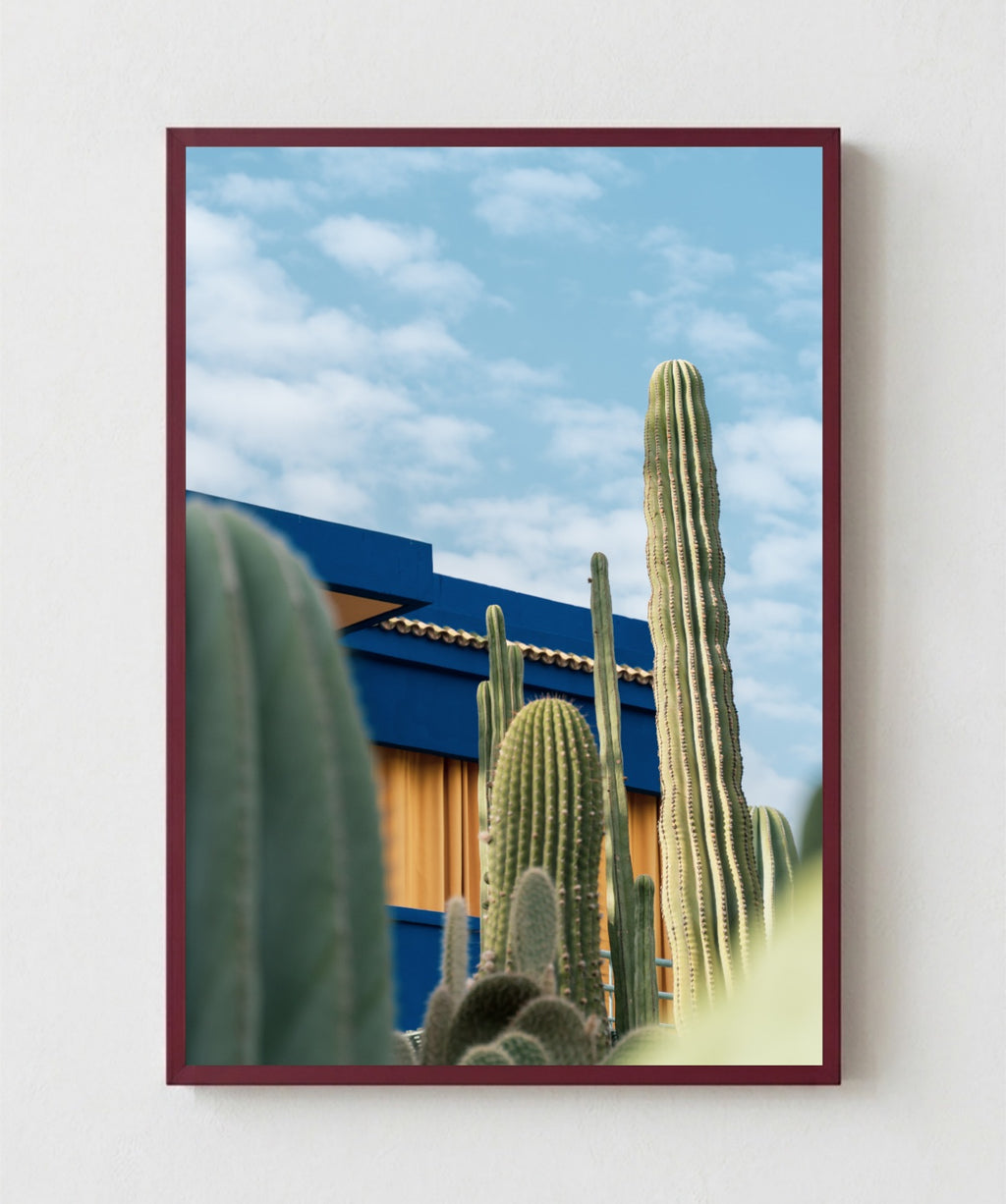 Cactus