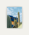 Cactus