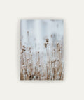 Campo Frio