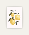 Citrus