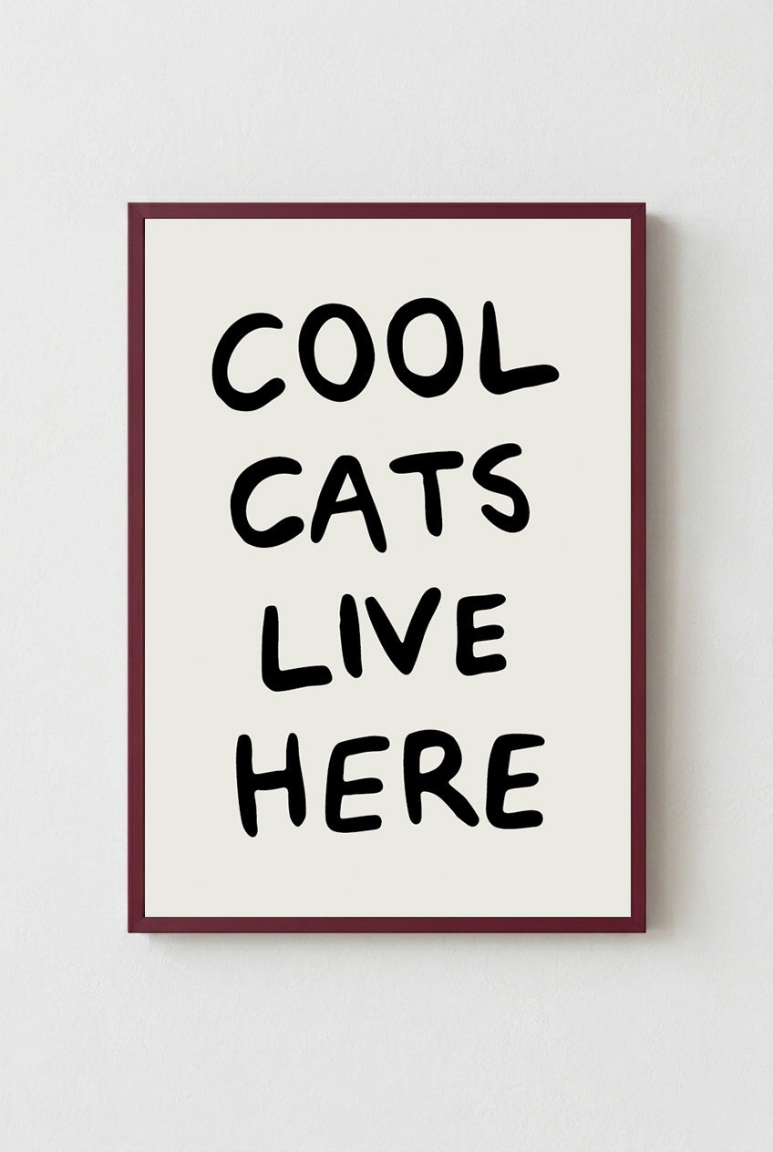 Cool Cats