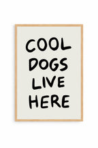 Cool Dogs
