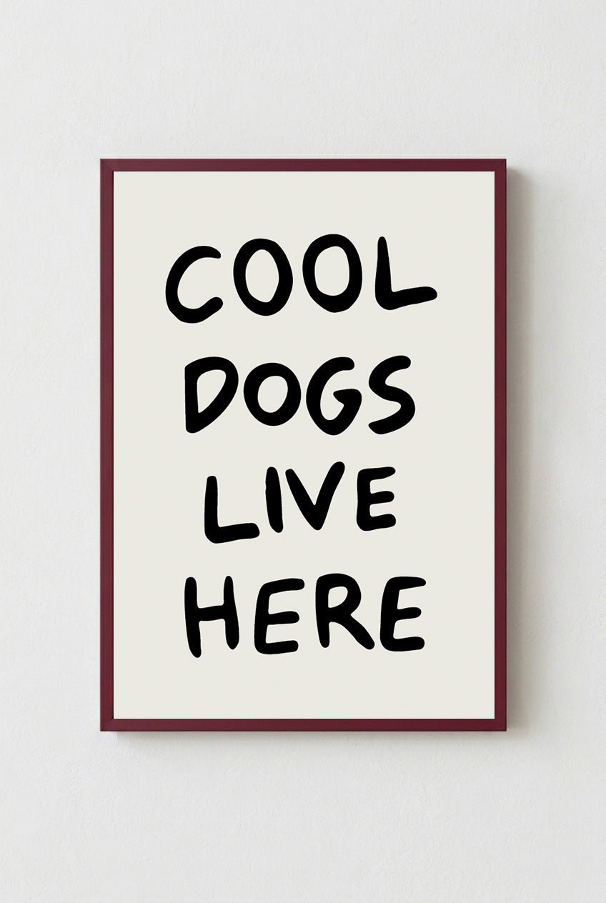 Cool Dogs