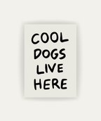 Cool Dogs