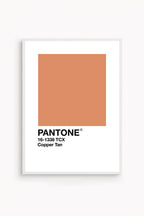 Copper Tan