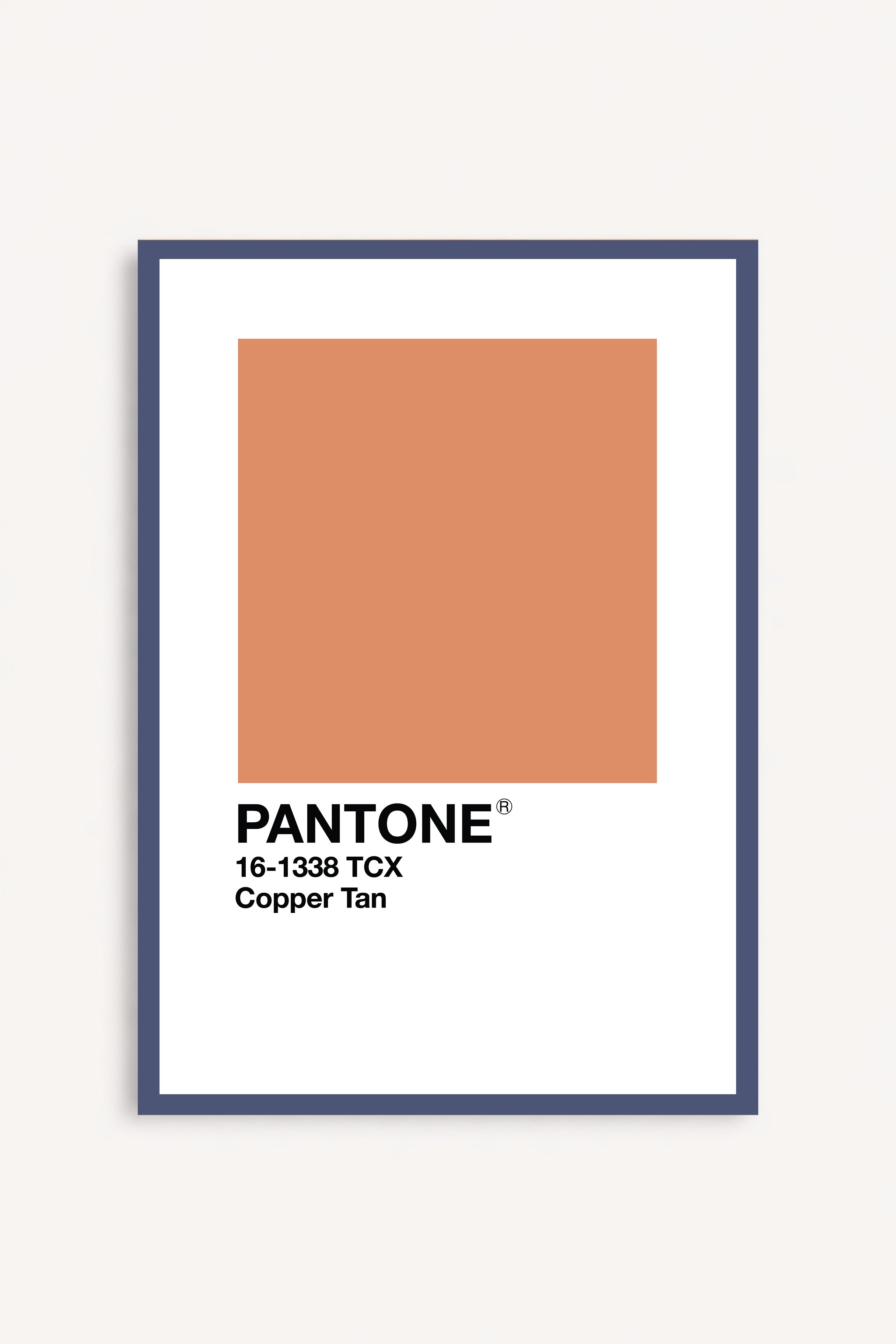 Copper Tan