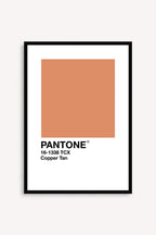 Copper Tan
