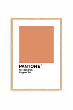 Copper Tan