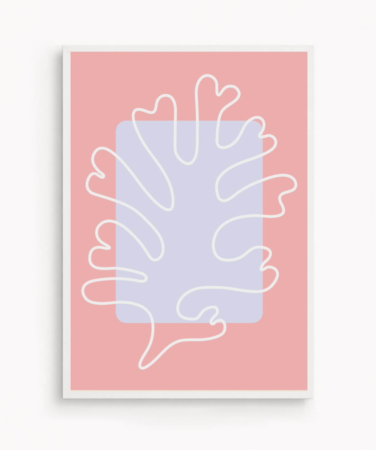 Coral Blush