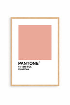 Coral Pink