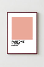 Coral Pink