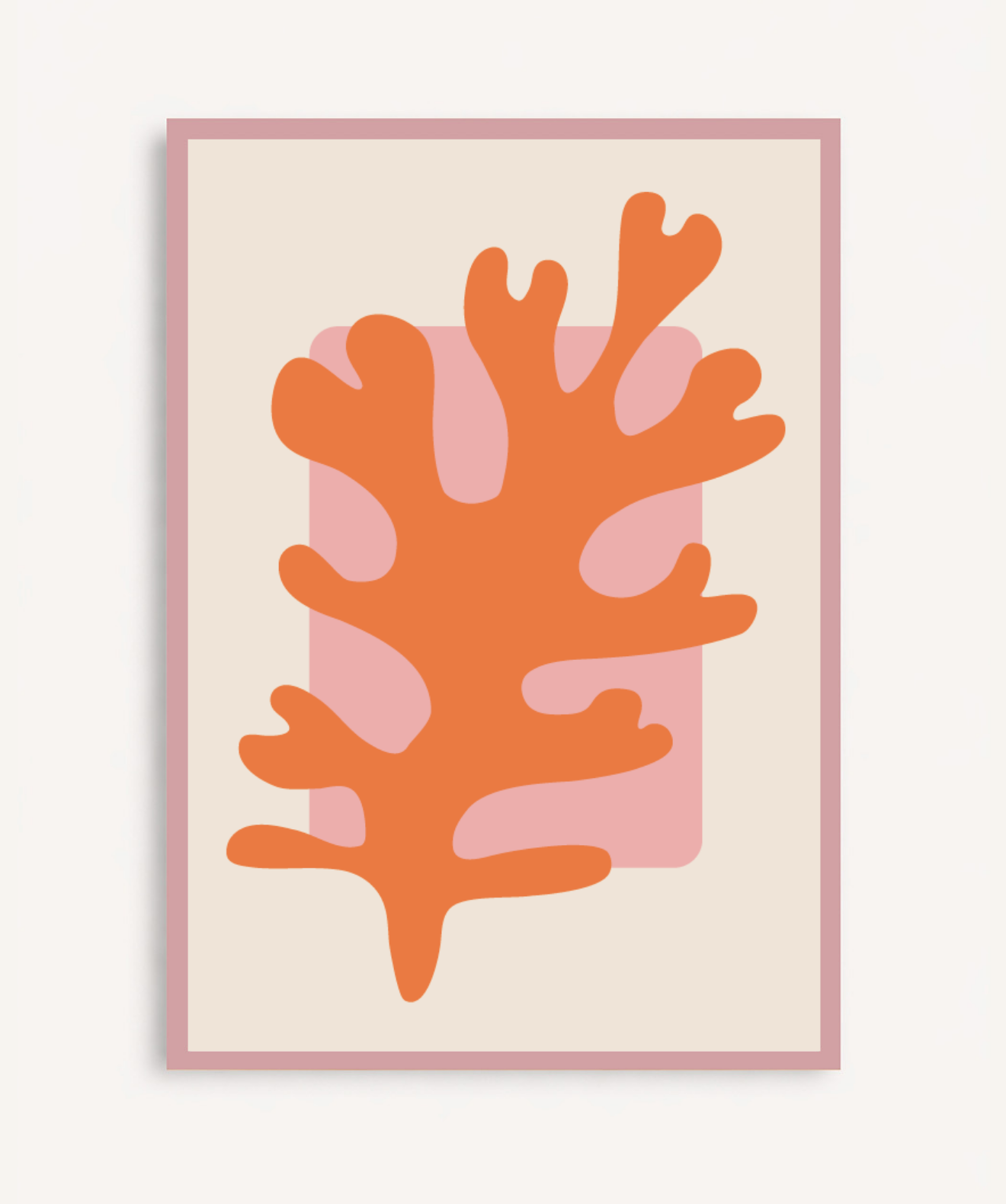 Coral de Amanecer