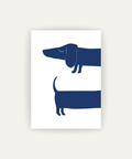 Dachshund Blue