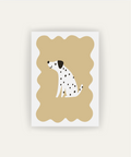Dalmata