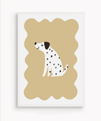 Dalmata