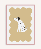 Dalmata