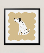 Dalmata