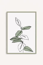 Cuadro Salvia