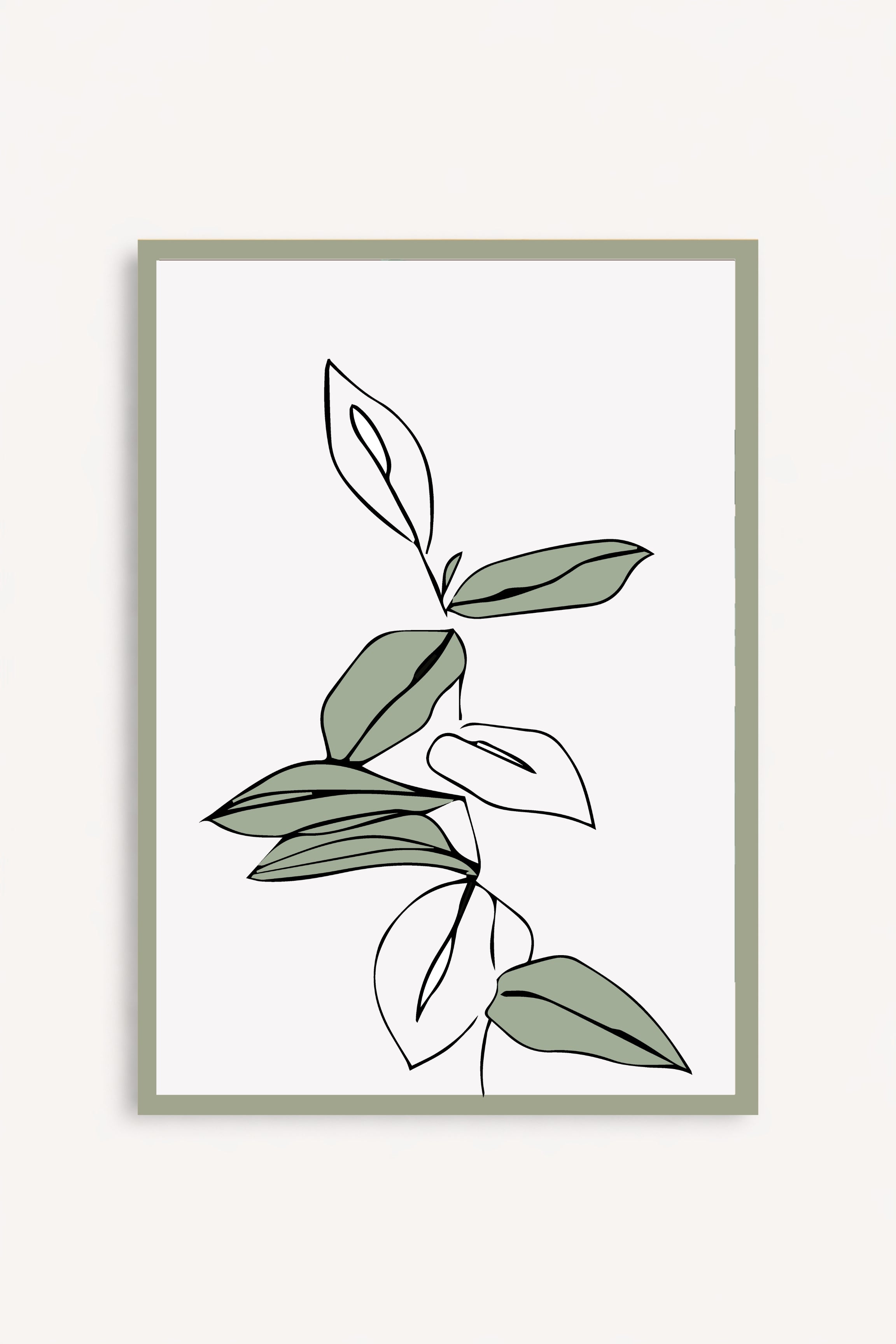 Cuadro Salvia