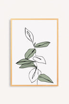 Cuadro Salvia