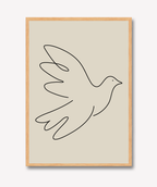Dove
