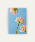Esencia Floral