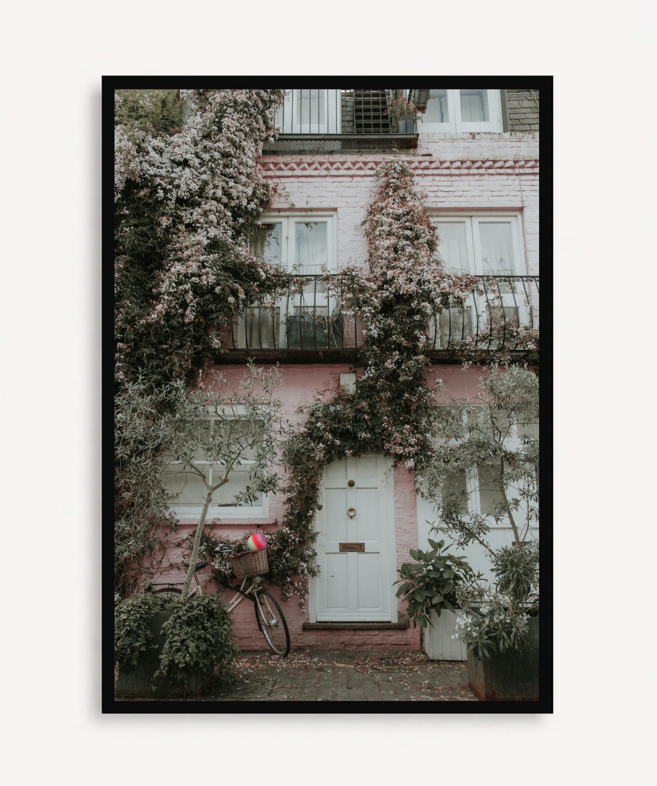 Fachada Viva