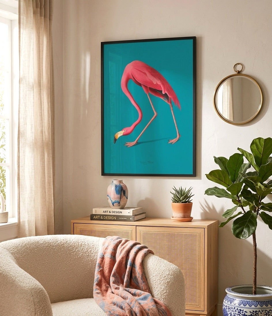 Flamingo