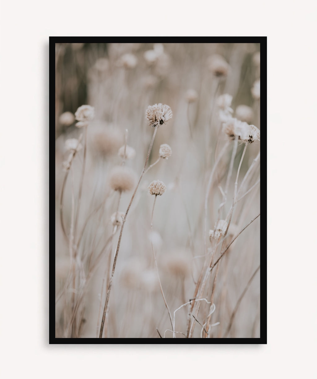 Flor en Campo